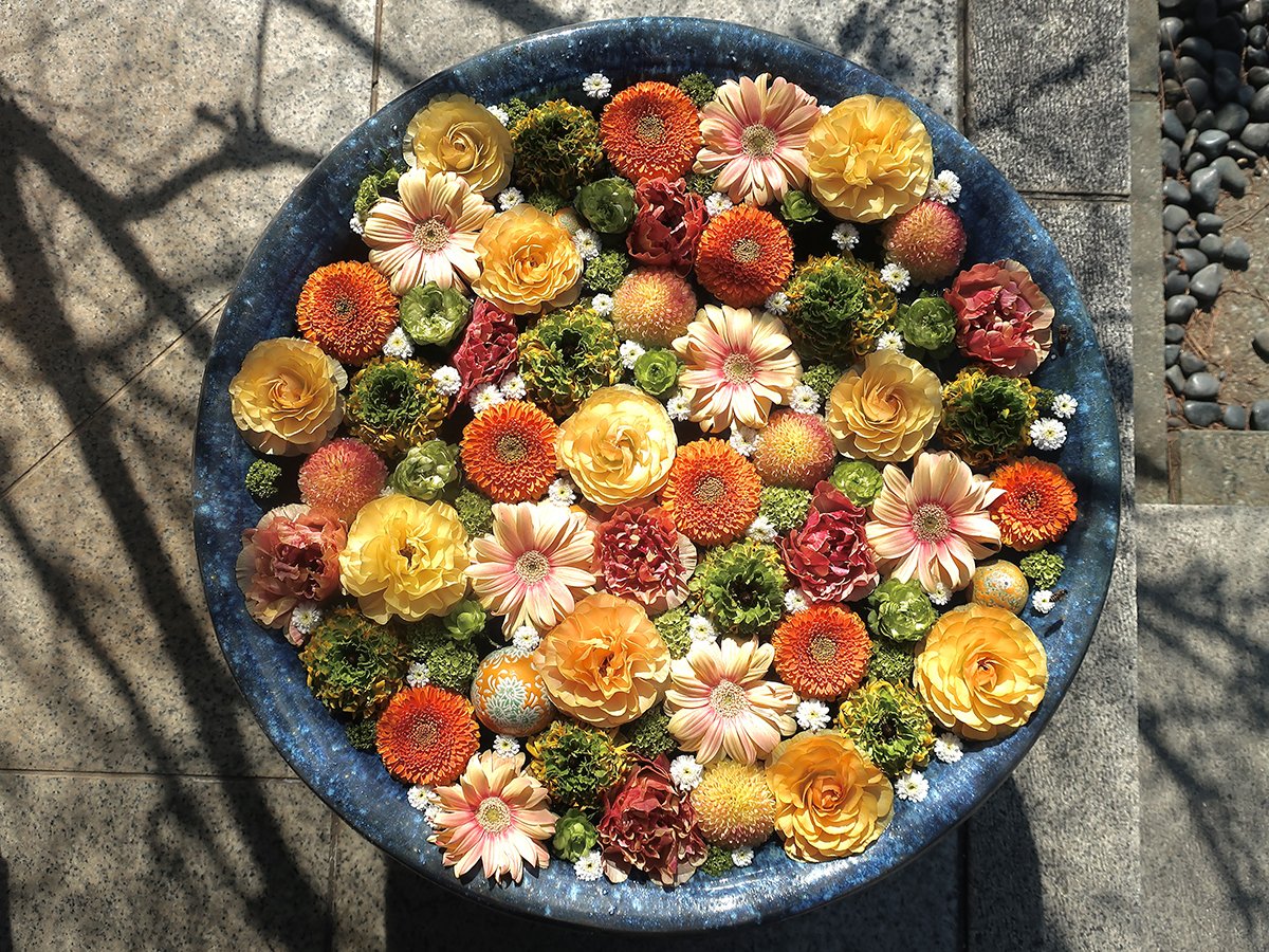 ⛩️ 오비키 이나리 신사(오비키 이나리 진자) 이미지 4